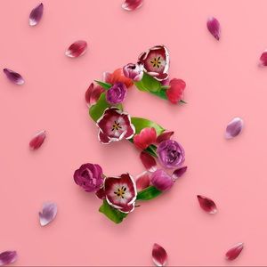 Meet your Posher, Willie